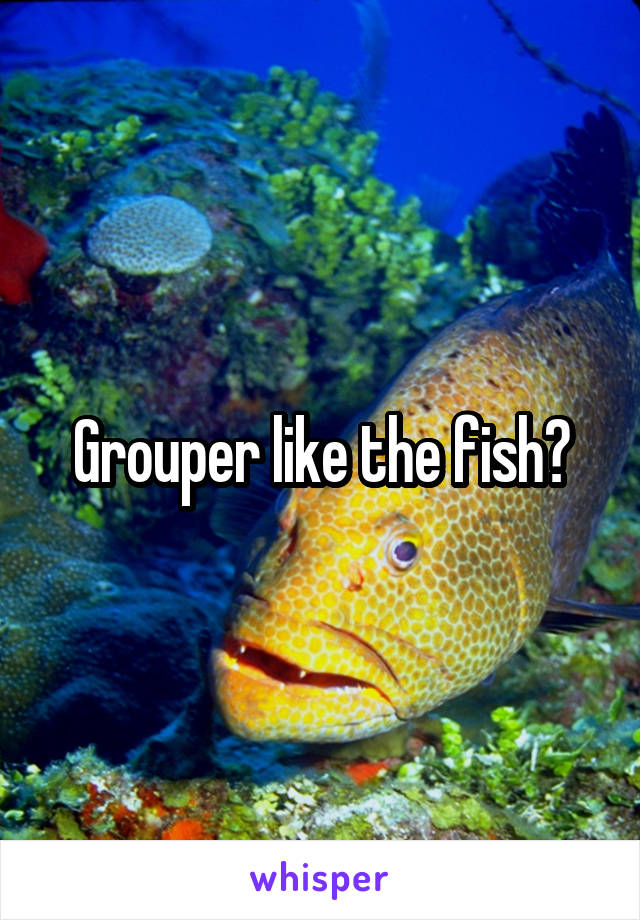 Grouper like the fish?