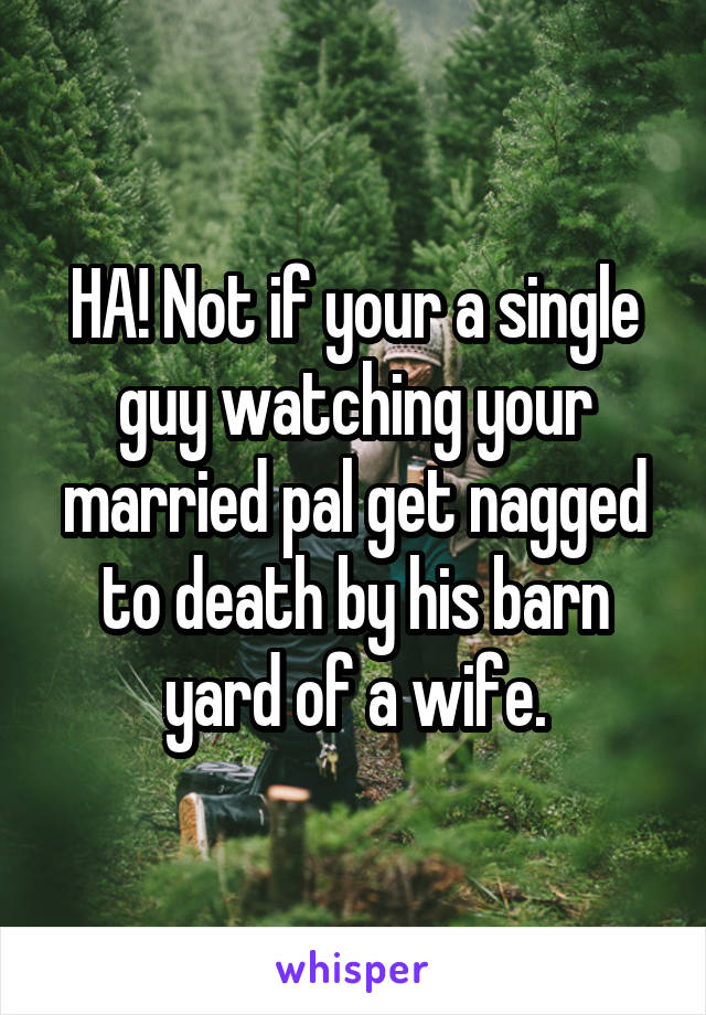 HA! Not if your a single guy watching your married pal get nagged to death by his barn yard of a wife.