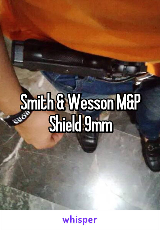 Smith & Wesson M&P Shield 9mm