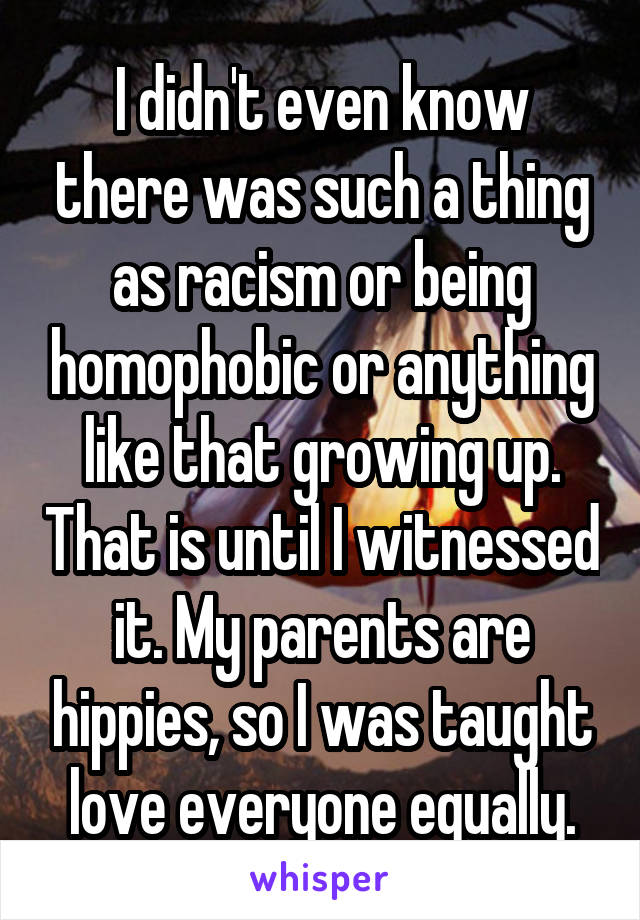 I didn't even know there was such a thing as racism or being homophobic or anything like that growing up. That is until I witnessed it. My parents are hippies, so I was taught love everyone equally.