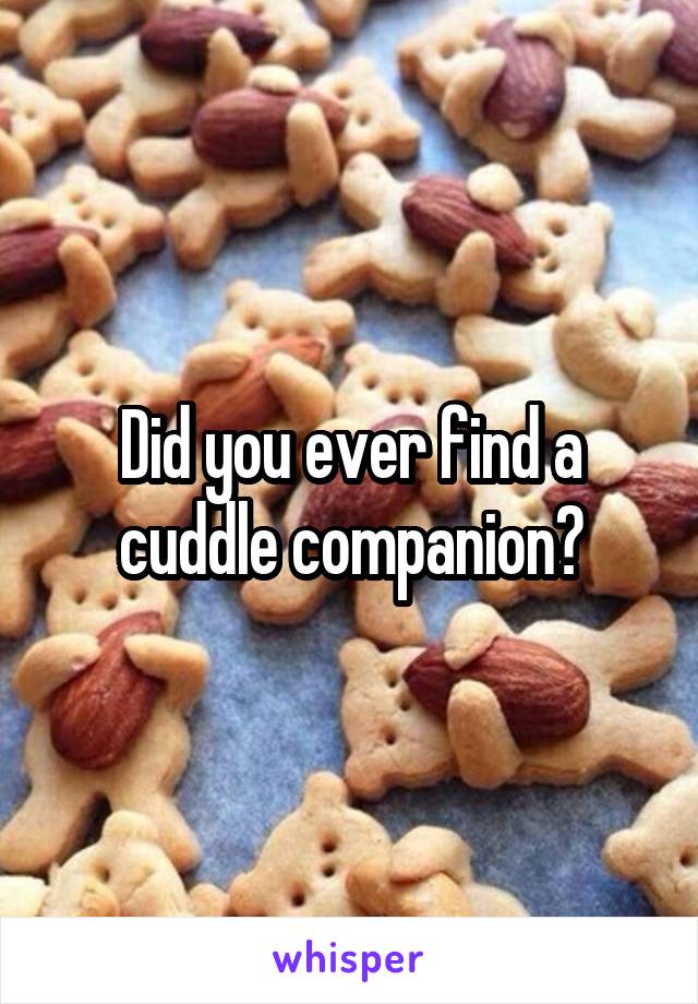 Did you ever find a cuddle companion?