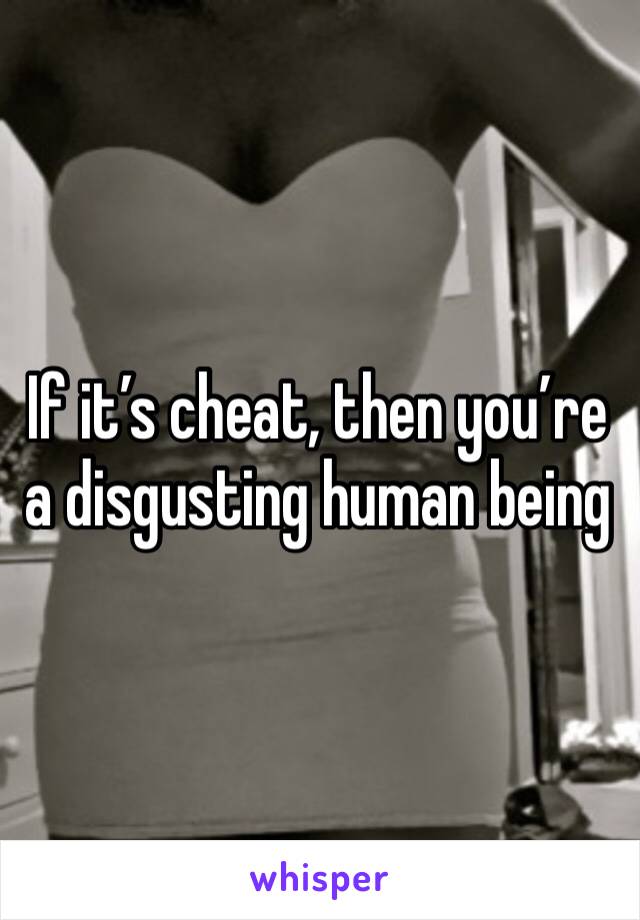 If it’s cheat, then you’re a disgusting human being 