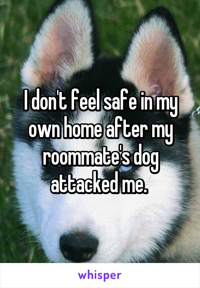 I don't feel safe in my own home after my roommate's dog attacked me. 