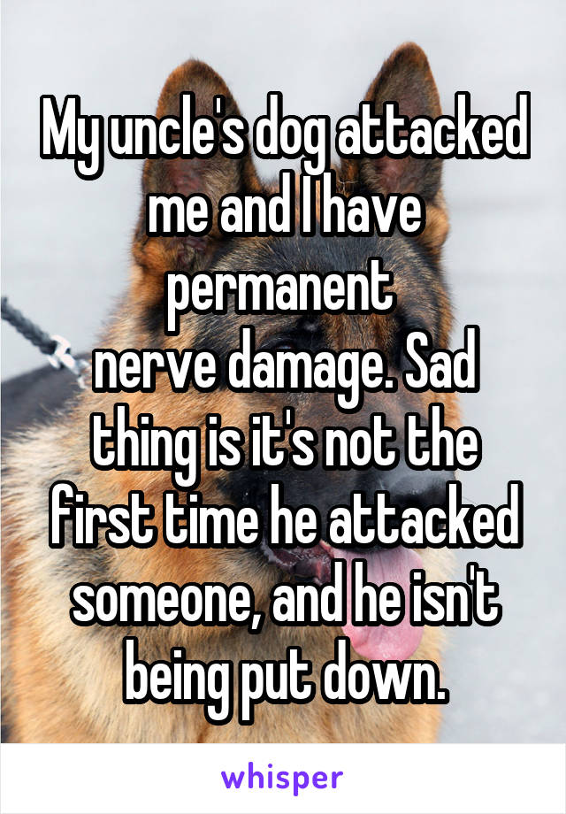 My uncle's dog attacked me and I have permanent 
nerve damage. Sad thing is it's not the first time he attacked someone, and he isn't being put down.