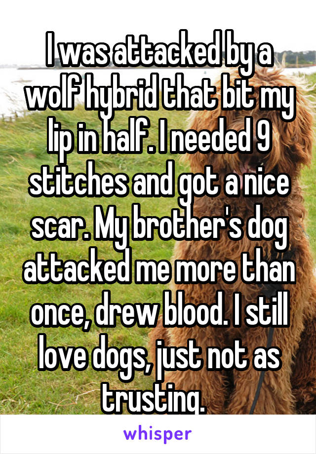I was attacked by a wolf hybrid that bit my lip in half. I needed 9 stitches and got a nice scar. My brother's dog attacked me more than once, drew blood. I still love dogs, just not as trusting.  