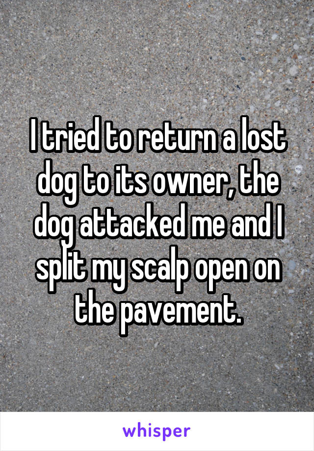 I tried to return a lost dog to its owner, the dog attacked me and I split my scalp open on the pavement.