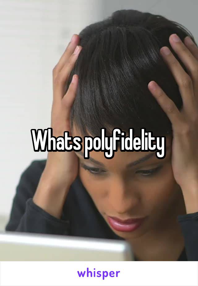 Whats polyfidelity 