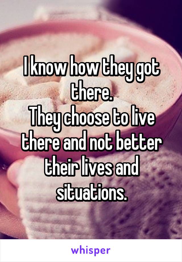 I know how they got there.
They choose to live there and not better their lives and situations.