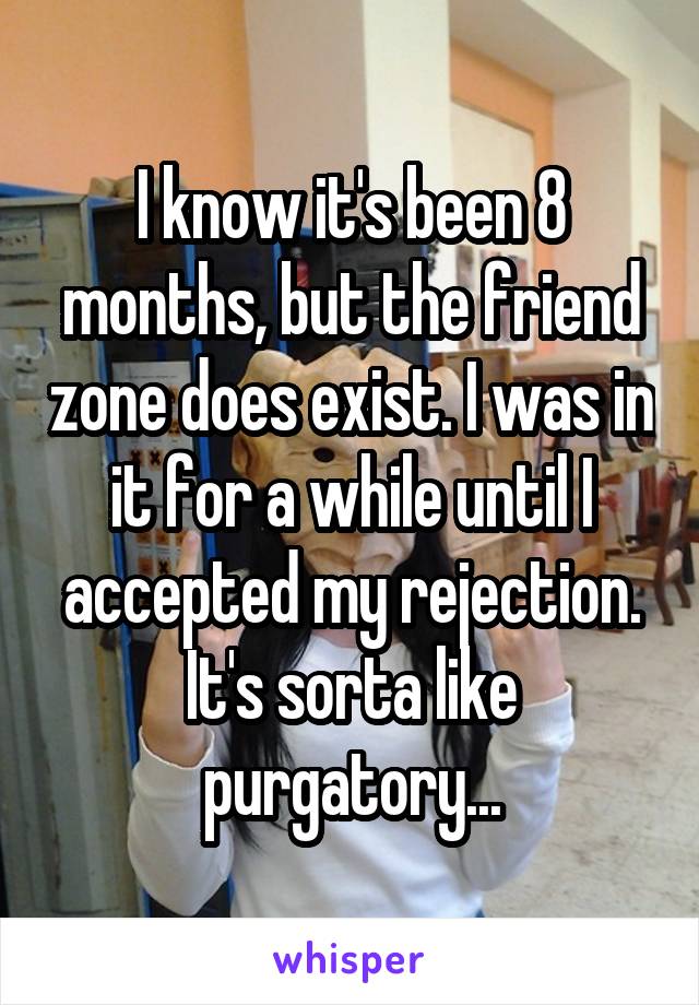 I know it's been 8 months, but the friend zone does exist. I was in it for a while until I accepted my rejection. It's sorta like purgatory...