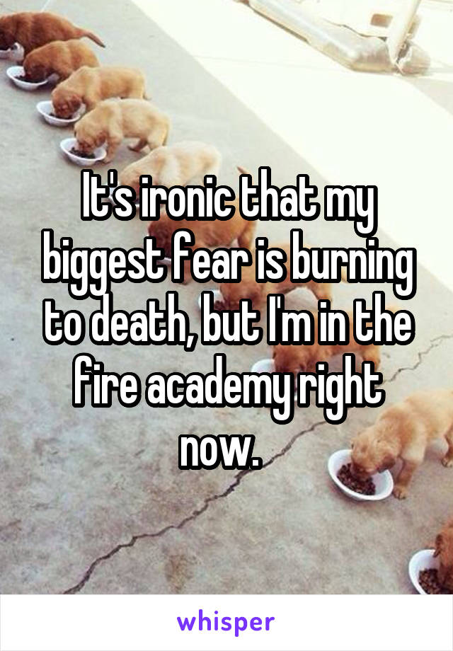 It's ironic that my biggest fear is burning to death, but I'm in the fire academy right now.  