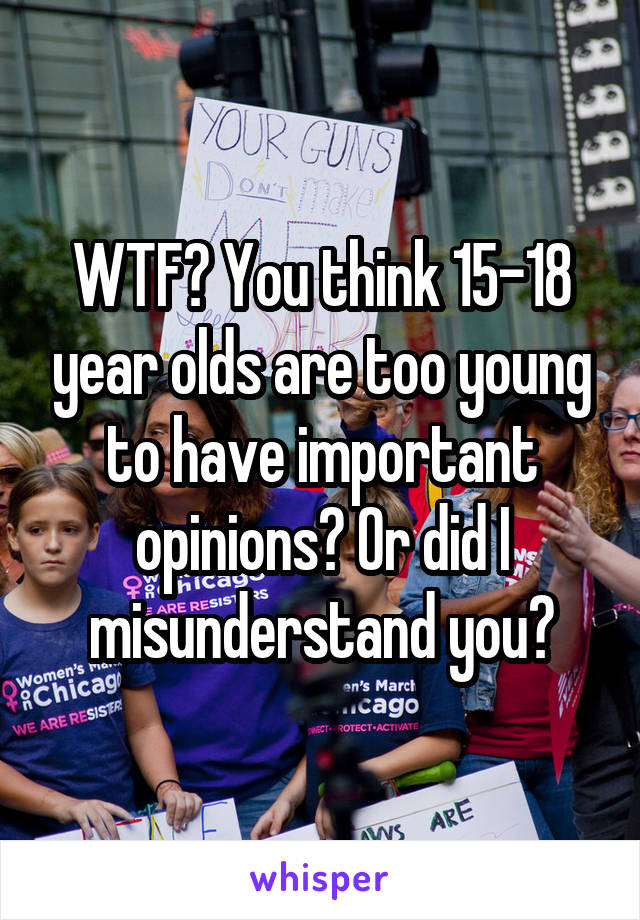 WTF? You think 15-18 year olds are too young to have important opinions? Or did I misunderstand you?