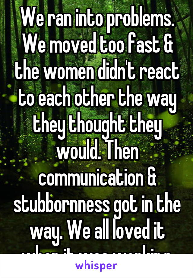 We ran into problems. We moved too fast & the women didn't react to each other the way they thought they would. Then communication & stubbornness got in the way. We all loved it when it was working.