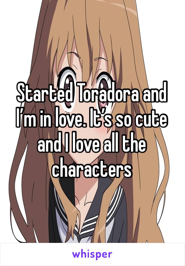 Started Toradora and I’m in love. It’s so cute and I love all the characters 