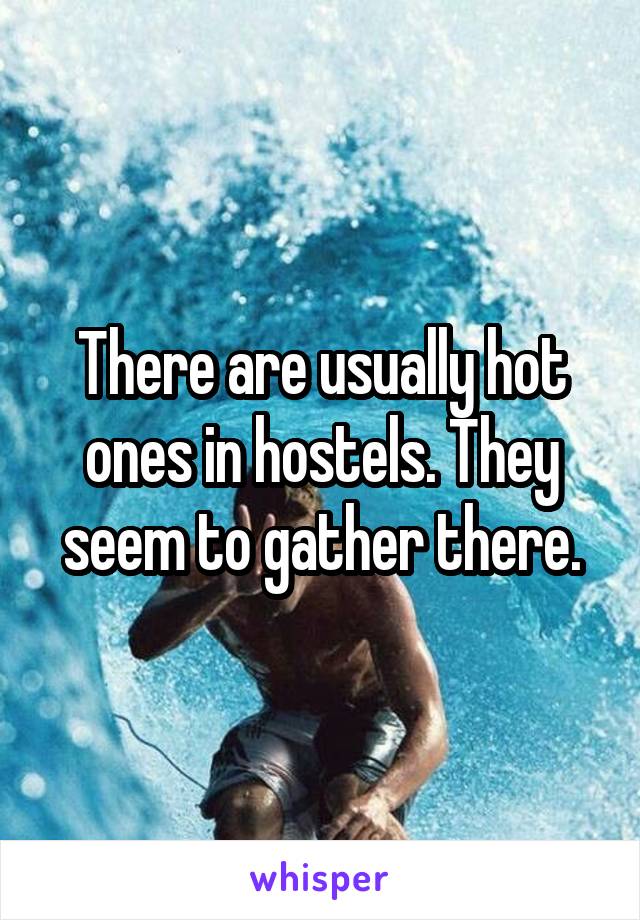 There are usually hot ones in hostels. They seem to gather there.