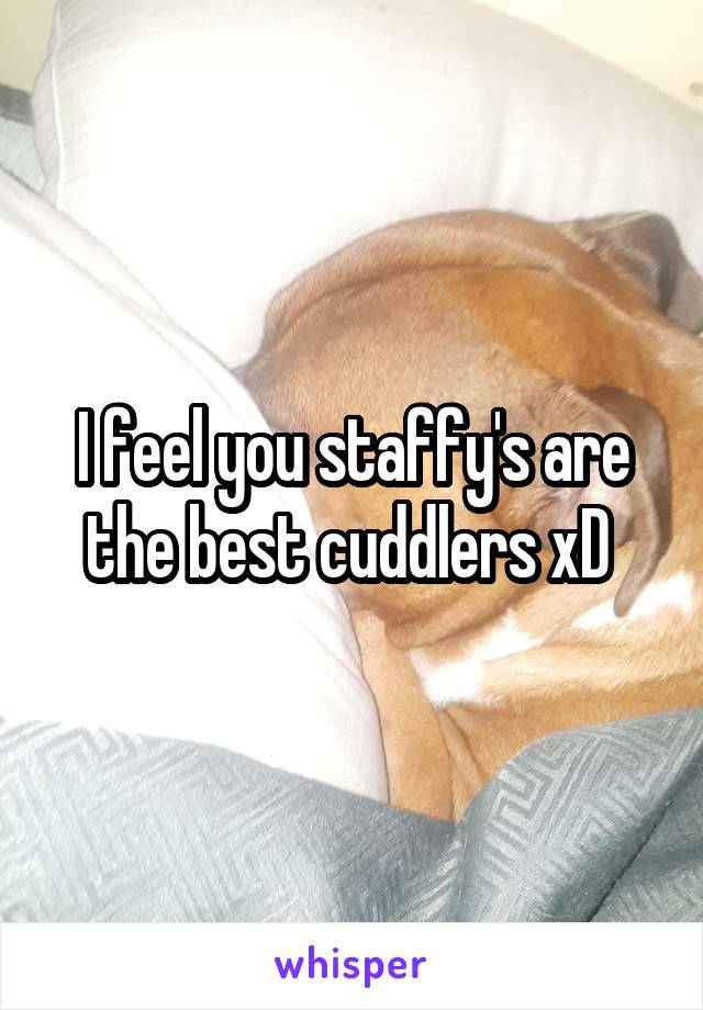 I feel you staffy's are the best cuddlers xD 