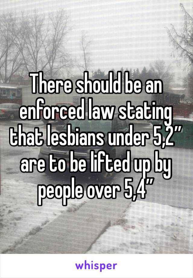 There should be an enforced law stating that lesbians under 5,2” are to be lifted up by people over 5,4”