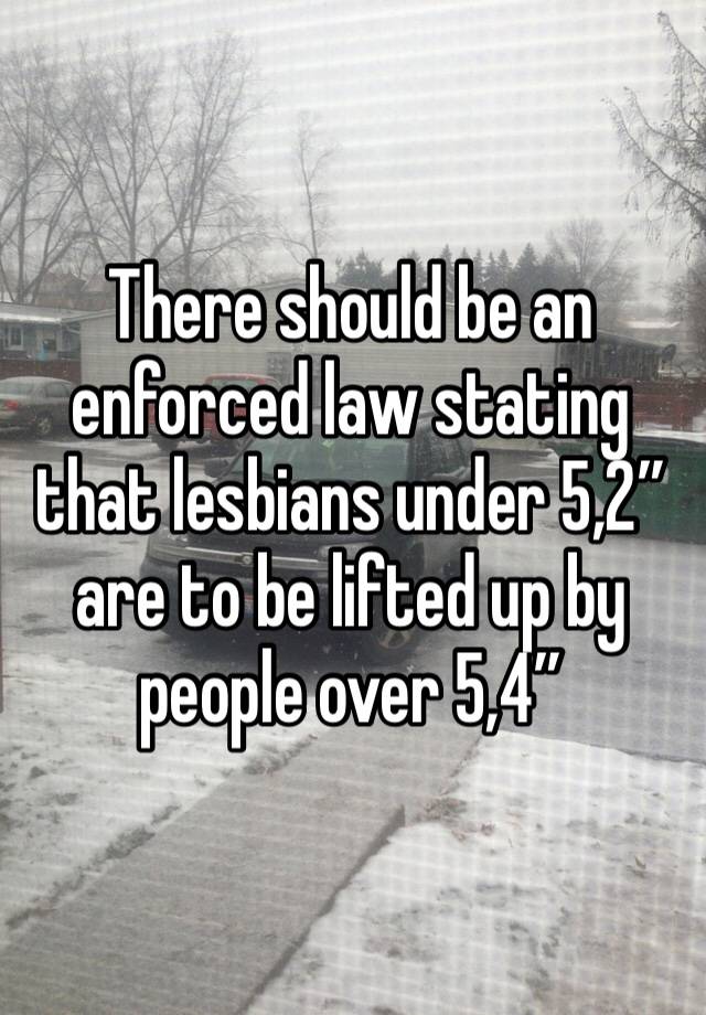 There should be an enforced law stating that lesbians under 5,2” are to be lifted up by people over 5,4”