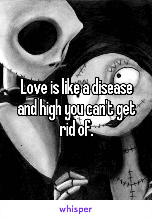 Love is like a disease and high you can't get rid of.