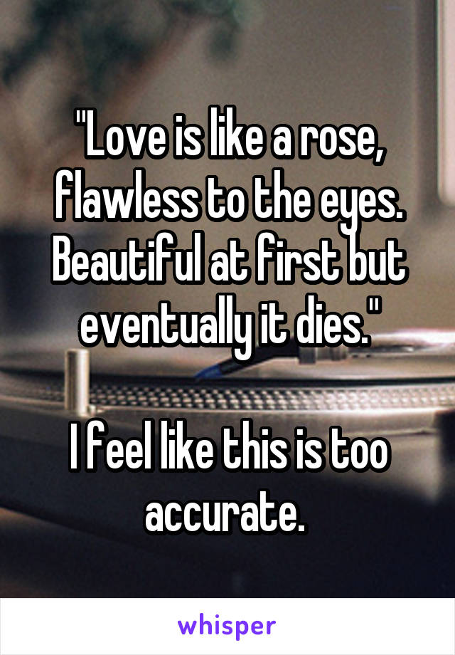 "Love is like a rose, flawless to the eyes. Beautiful at first but eventually it dies."

I feel like this is too accurate. 
