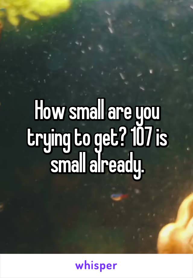 How small are you trying to get? 107 is small already.
