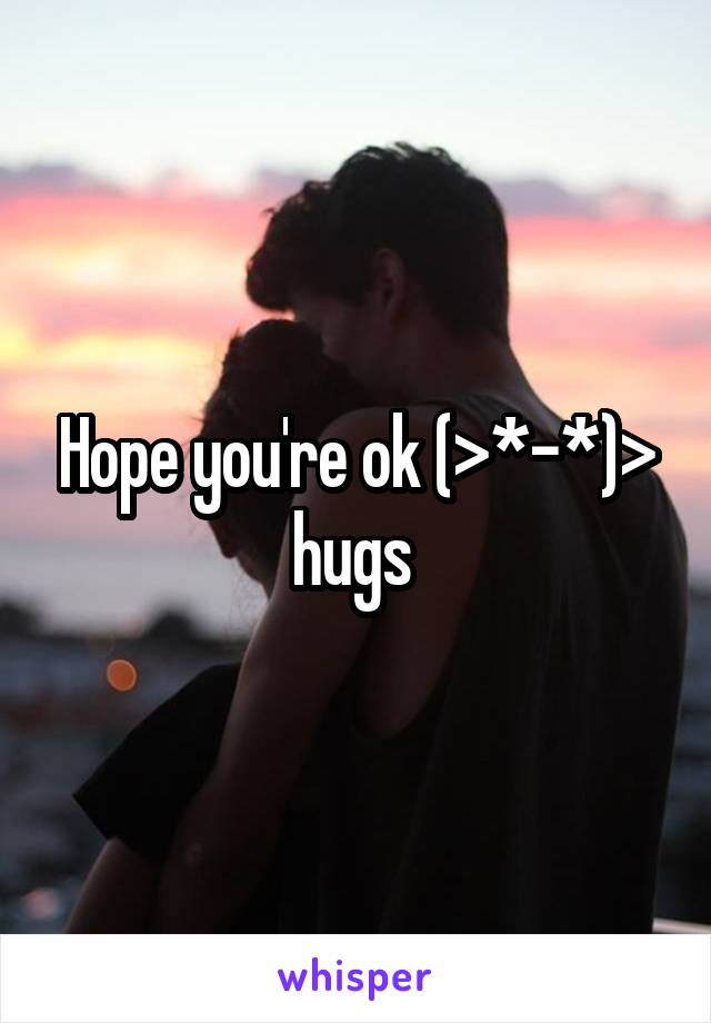Hope you're ok (>*-*)> hugs 