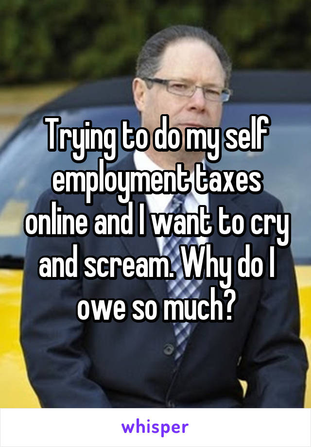 Trying to do my self employment taxes online and I want to cry and scream. Why do I owe so much?