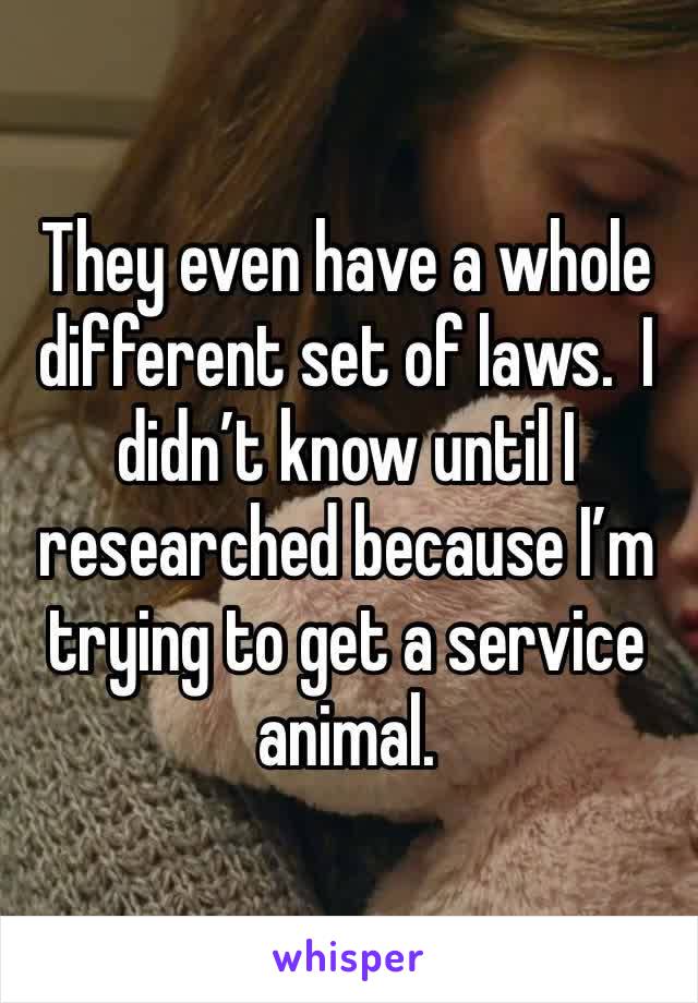 They even have a whole different set of laws.  I didn’t know until I researched because I’m trying to get a service animal.
