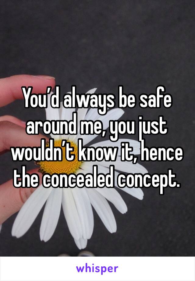 You’d always be safe around me, you just wouldn’t know it, hence the concealed concept.