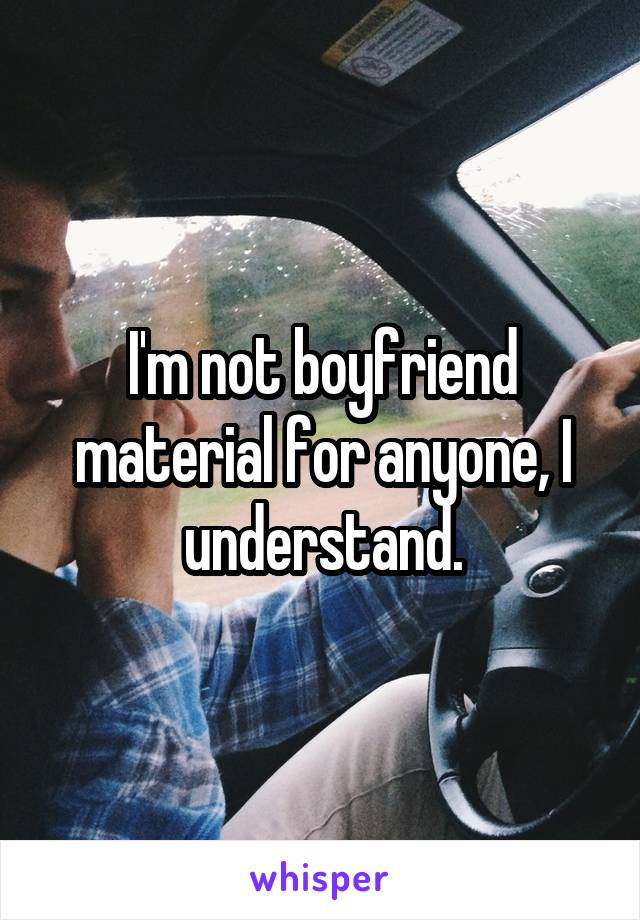 I'm not boyfriend material for anyone, I understand.