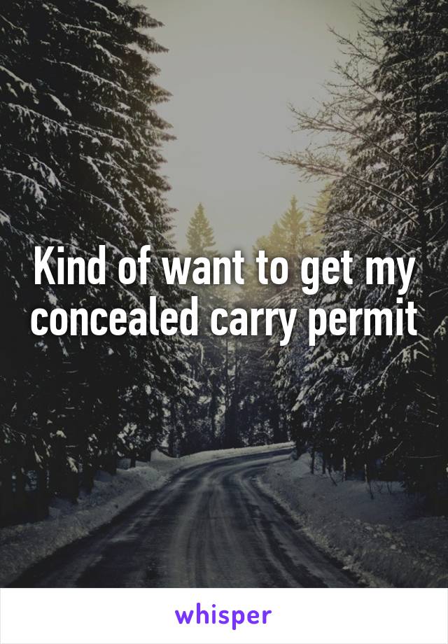 Kind of want to get my concealed carry permit 