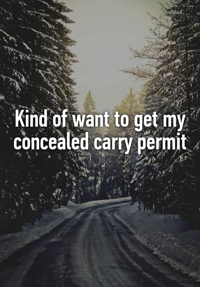 Kind of want to get my concealed carry permit 