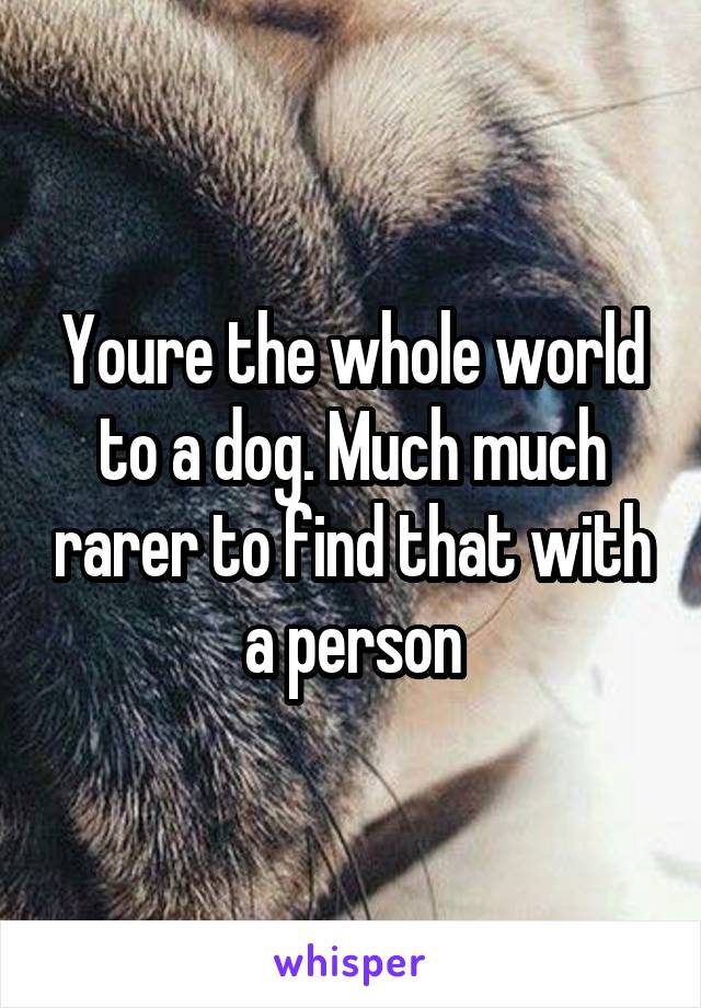 Youre the whole world to a dog. Much much rarer to find that with a person