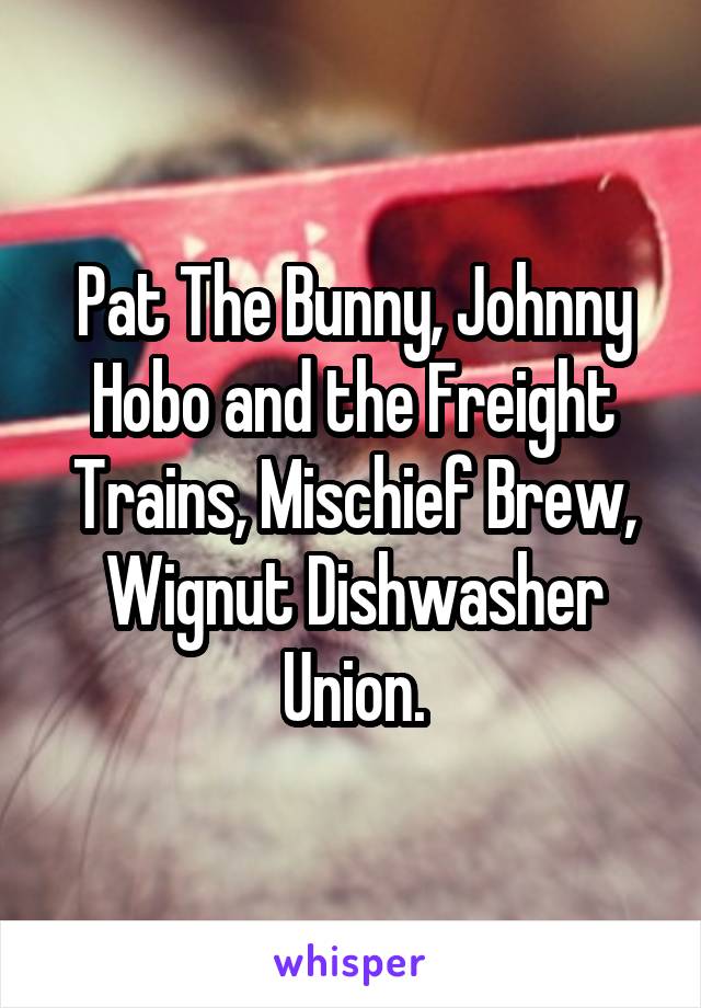 Pat The Bunny, Johnny Hobo and the Freight Trains, Mischief Brew, Wignut Dishwasher Union.
