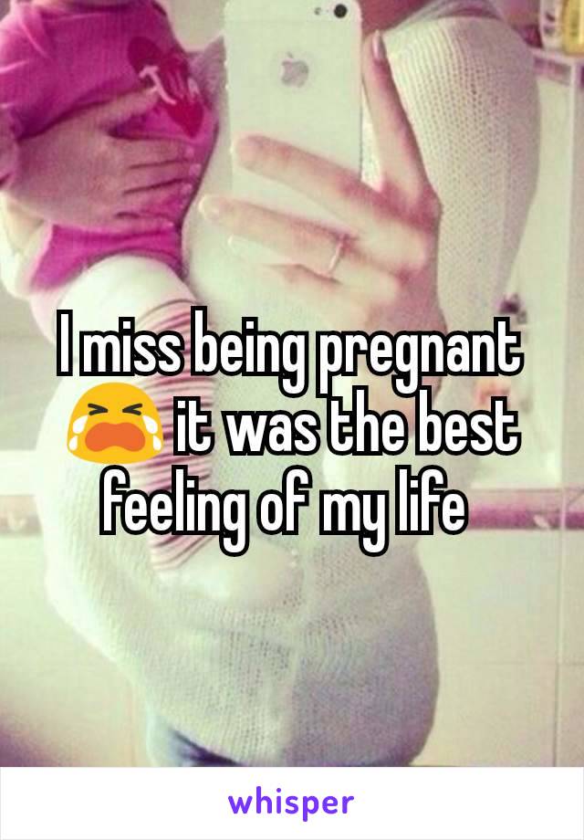 I miss being pregnant 😭 it was the best feeling of my life 