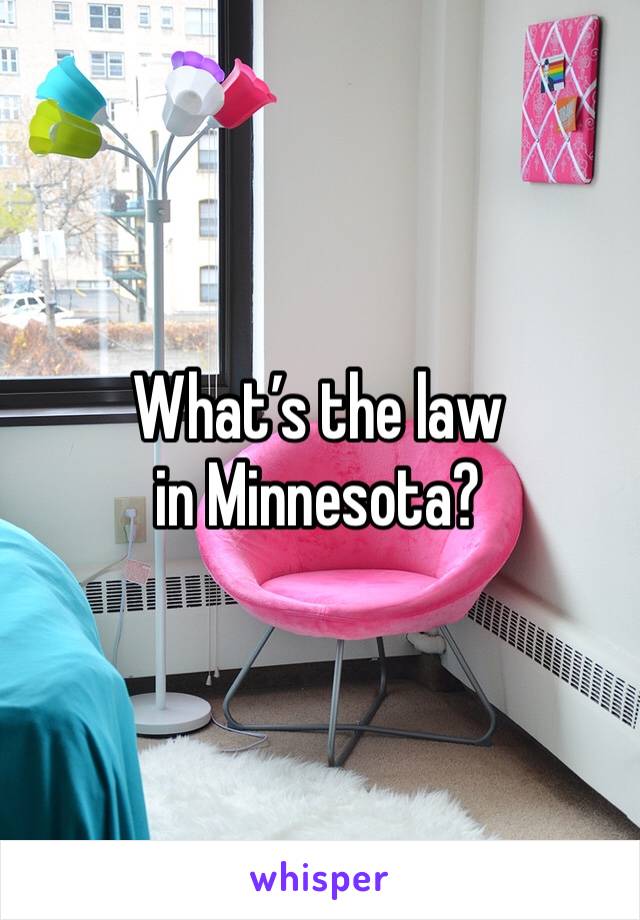 What’s the law in Minnesota?