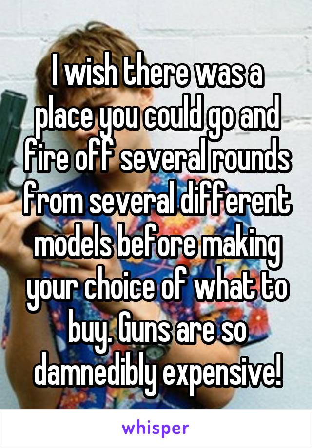 I wish there was a place you could go and fire off several rounds from several different models before making your choice of what to buy. Guns are so damnedibly expensive!