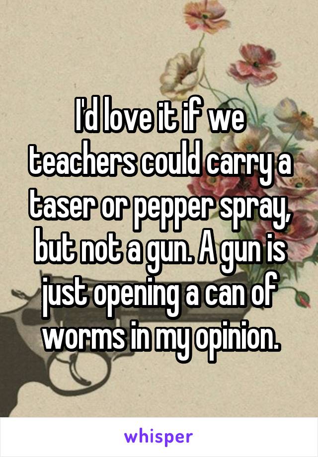 I'd love it if we teachers could carry a taser or pepper spray, but not a gun. A gun is just opening a can of worms in my opinion.