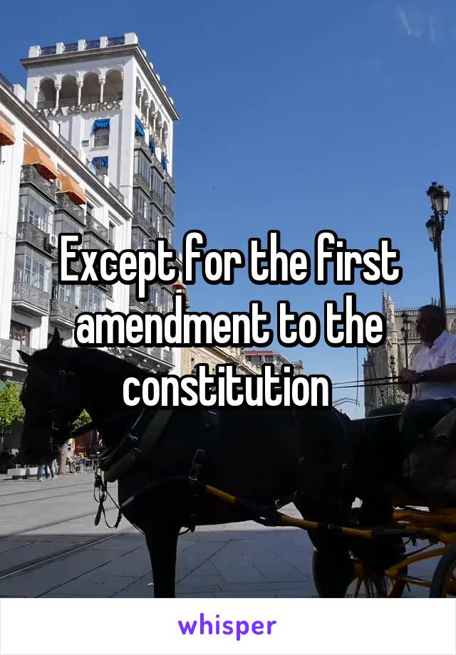 Except for the first amendment to the constitution 