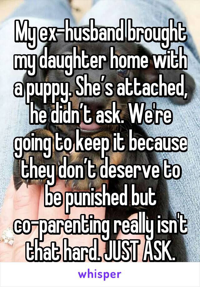 My ex-husband brought my daughter home with a puppy. She’s attached, he didn’t ask. We're going to keep it because they don’t deserve to be punished but co-parenting really isn't that hard. JUST ASK.