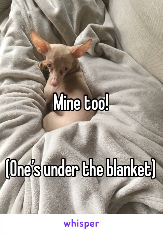 Mine too! 


(One’s under the blanket)