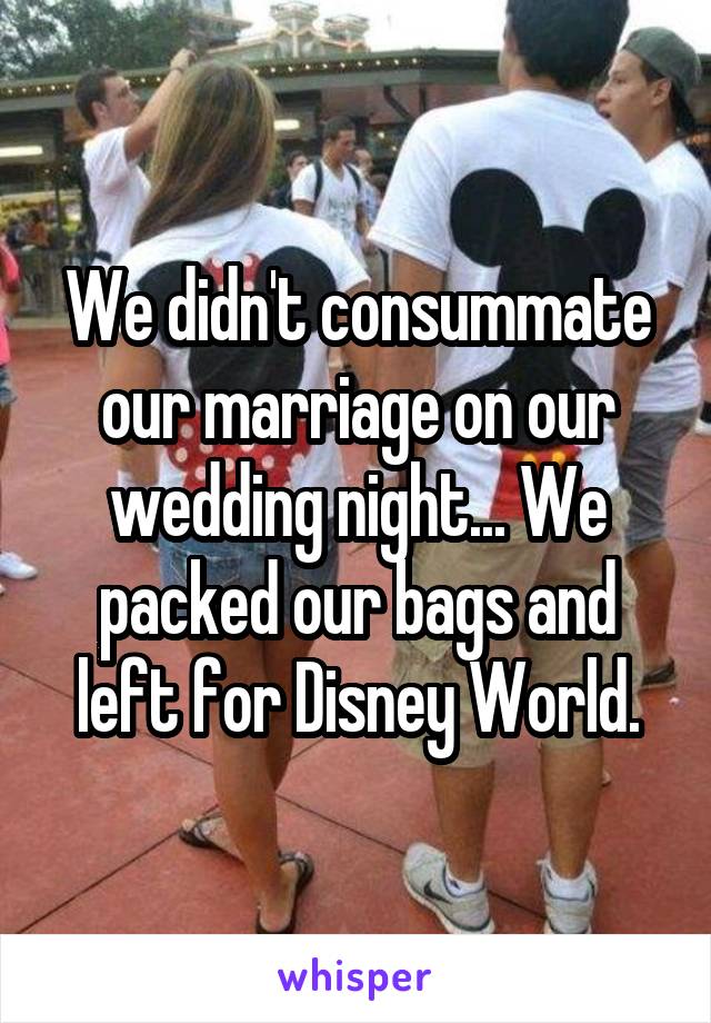 We didn't consummate our marriage on our wedding night... We packed our bags and left for Disney World.