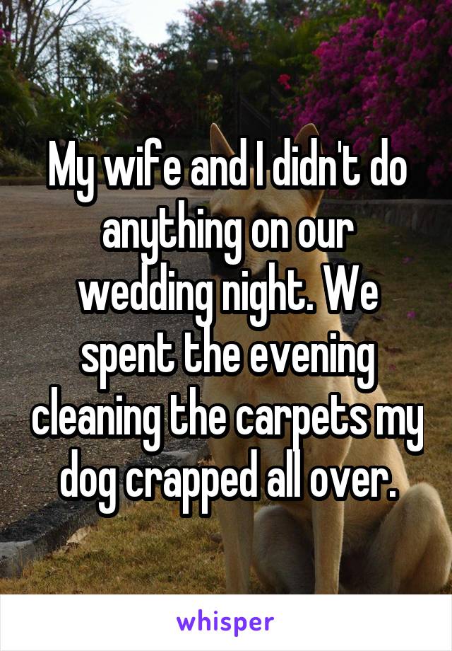 My wife and I didn't do anything on our wedding night. We spent the evening cleaning the carpets my dog crapped all over.