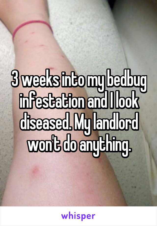 3 weeks into my bedbug infestation and I look diseased. My landlord won't do anything.