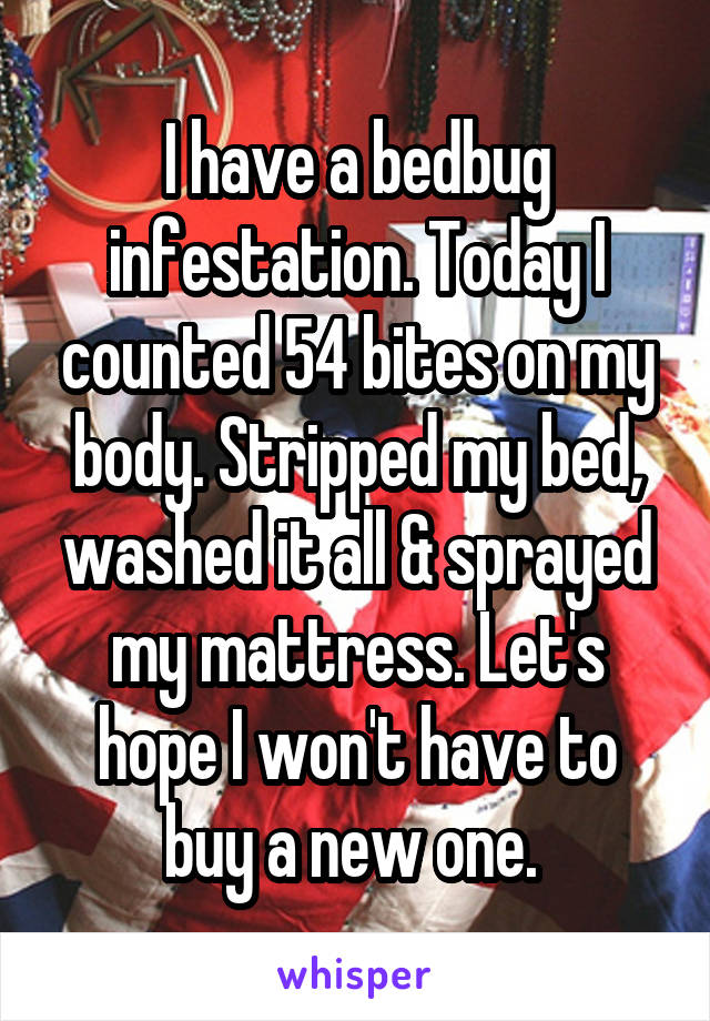 I have a bedbug infestation. Today I counted 54 bites on my body. Stripped my bed, washed it all & sprayed my mattress. Let's hope I won't have to buy a new one. 