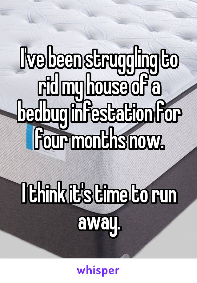 I've been struggling to rid my house of a bedbug infestation for four months now.

I think it's time to run away.