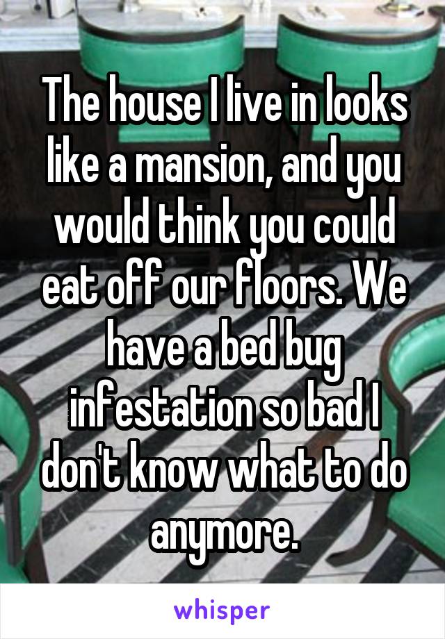 The house I live in looks like a mansion, and you would think you could eat off our floors. We have a bed bug infestation so bad I don't know what to do anymore.