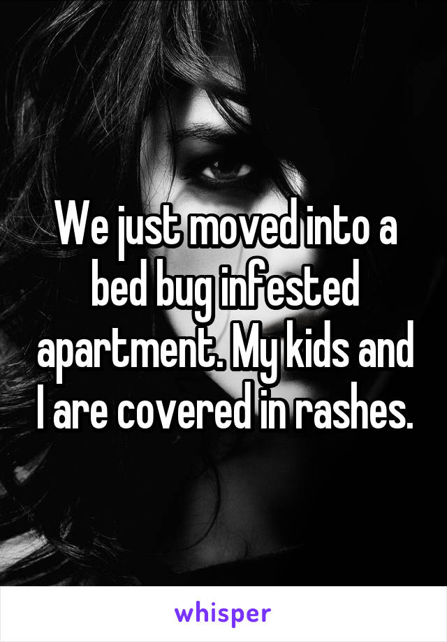 We just moved into a bed bug infested apartment. My kids and I are covered in rashes.