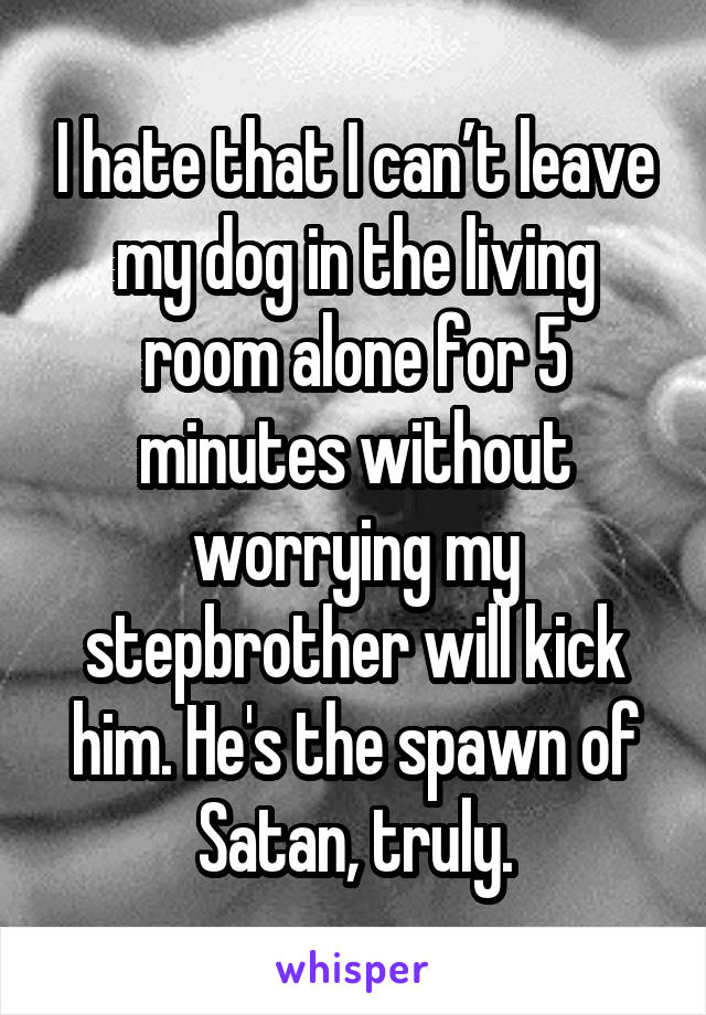 I hate that I can’t leave my dog in the living room alone for 5 minutes without worrying my stepbrother will kick him. He's the spawn of Satan, truly.