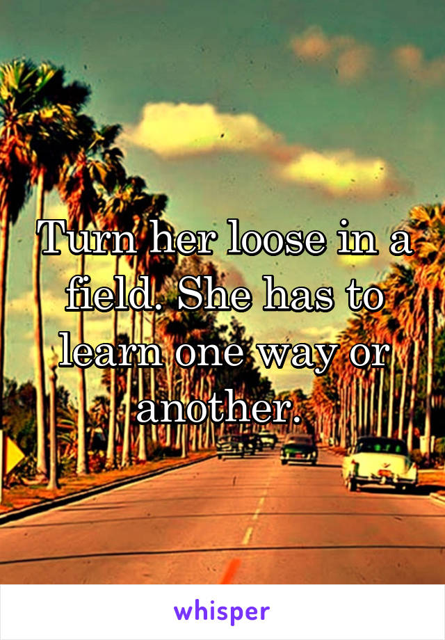 Turn her loose in a field. She has to learn one way or another. 