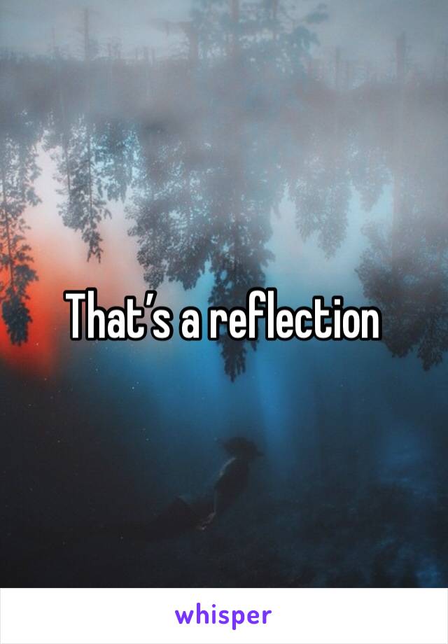 That’s a reflection